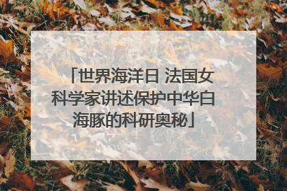 世界海洋日 法国女科学家讲述保护中华白海豚的科研奥秘