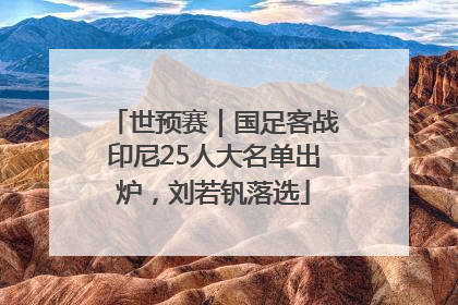 世预赛｜国足客战印尼25人大名单出炉，刘若钒落选
