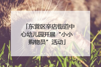 东营区辛店街道中心幼儿园开展“小小购物员”活动