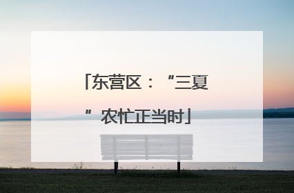 东营区：“三夏”农忙正当时