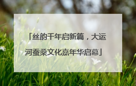 丝韵千年启新篇，大运河蚕桑文化嘉年华启幕
