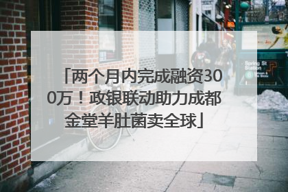 两个月内完成融资300万！政银联动助力成都金堂羊肚菌卖全球