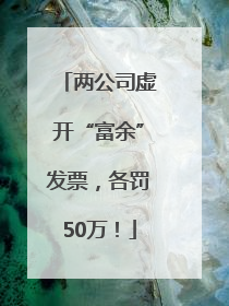 两公司虚开“富余”发票，各罚50万！