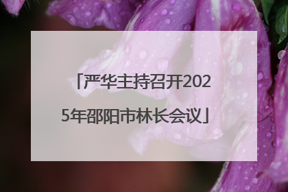 严华主持召开2025年邵阳市林长会议