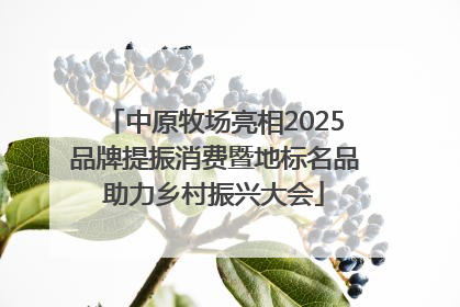 中原牧场亮相2025品牌提振消费暨地标名品助力乡村振兴大会
