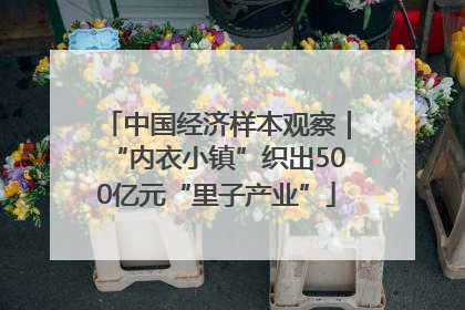 中国经济样本观察｜“内衣小镇”织出500亿元“里子产业”