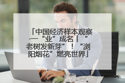 中国经济样本观察·一“业”成名丨“老树发新芽”！“浏阳烟花”燃亮世界
