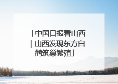 中国日报看山西｜山西发现东方白鹳筑巢繁殖