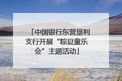 中国银行东营垦利支行开展“粽夏童乐会”主题活动