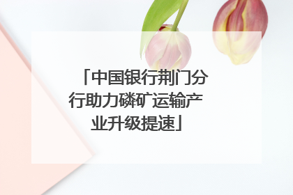 中国银行荆门分行助力磷矿运输产业升级提速