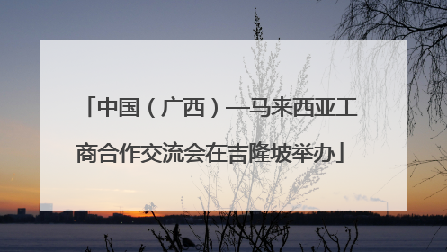 中国（广西）—马来西亚工商合作交流会在吉隆坡举办