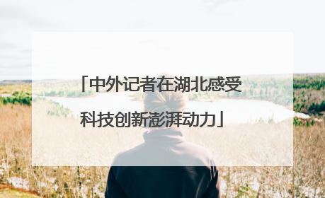 中外记者在湖北感受科技创新澎湃动力