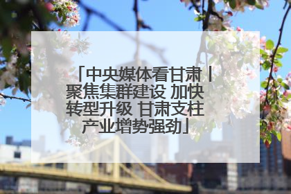 中央媒体看甘肃丨聚焦集群建设 加快转型升级 甘肃支柱产业增势强劲