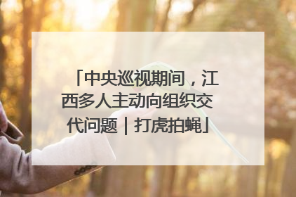 中央巡视期间，江西多人主动向组织交代问题｜打虎拍蝇