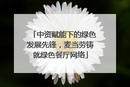中资赋能下的绿色发展先锋，麦当劳铸就绿色餐厅网络