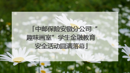 中邮保险安徽分公司“趣味画室”学生金融教育安全活动圆满落幕
