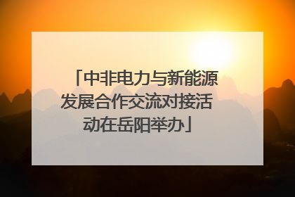 中非电力与新能源发展合作交流对接活动在岳阳举办