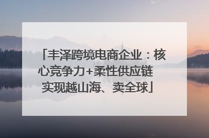 丰泽跨境电商企业：核心竞争力+柔性供应链 实现越山海、卖全球