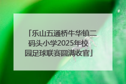 乐山五通桥牛华镇二码头小学2025年校园足球联赛圆满收官