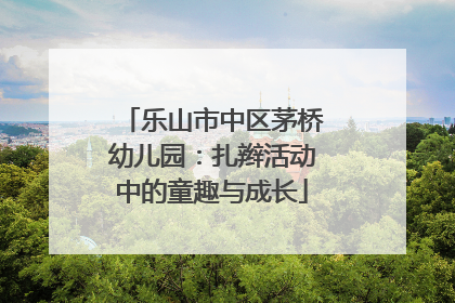 乐山市中区茅桥幼儿园：扎辫活动中的童趣与成长
