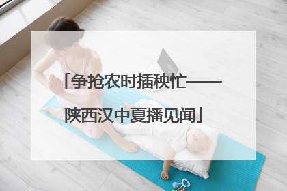 争抢农时插秧忙——陕西汉中夏播见闻