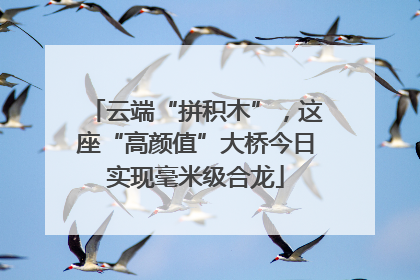 云端“拼积木”，这座“高颜值”大桥今日实现毫米级合龙