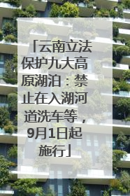 云南立法保护九大高原湖泊：禁止在入湖河道洗车等，9月1日起施行