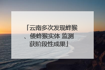 云南多次发现蜂猴、倭蜂猴实体 监测获阶段性成果