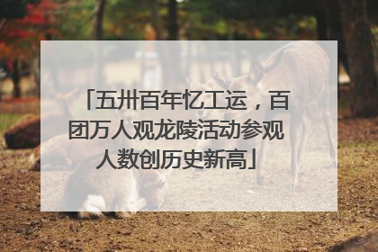 五卅百年忆工运，百团万人观龙陵活动参观人数创历史新高