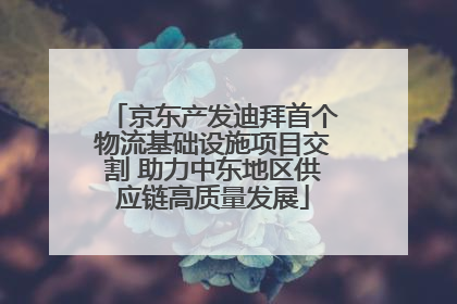 京东产发迪拜首个物流基础设施项目交割 助力中东地区供应链高质量发展