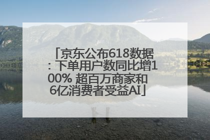 京东公布618数据：下单用户数同比增100% 超百万商家和6亿消费者受益AI