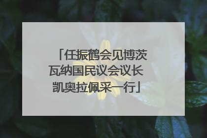 任振鹤会见博茨瓦纳国民议会议长凯奥拉佩采一行