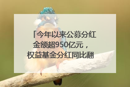 今年以来公募分红金额超950亿元，权益基金分红同比翻倍｜招财猫