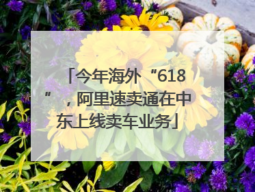 今年海外“618”，阿里速卖通在中东上线卖车业务