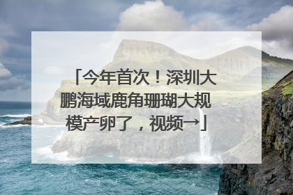 今年首次！深圳大鹏海域鹿角珊瑚大规模产卵了，视频→