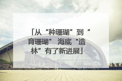 从“种珊瑚”到“育珊瑚” 海底“造林”有了新进展