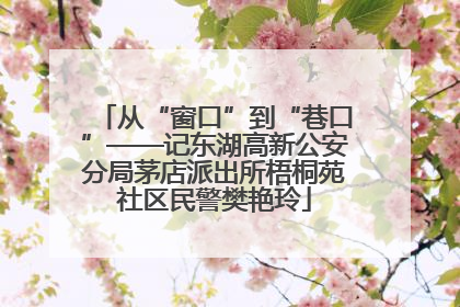 从“窗口”到“巷口”——记东湖高新公安分局茅店派出所梧桐苑社区民警樊艳玲