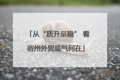 从“质升量稳” 看宿州外贸底气何在