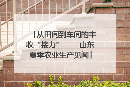 从田间到车间的丰收“接力”——山东夏季农业生产见闻