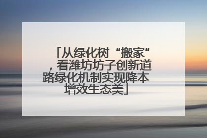 从绿化树“搬家”，看潍坊坊子创新道路绿化机制实现降本增效生态美
