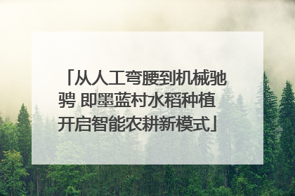 从人工弯腰到机械驰骋 即墨蓝村水稻种植开启智能农耕新模式
