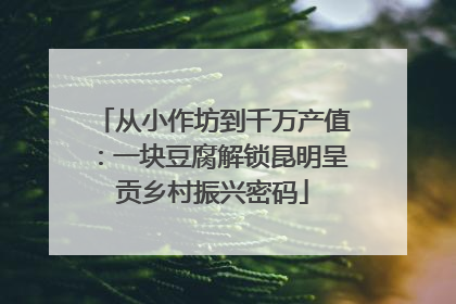 从小作坊到千万产值：一块豆腐解锁昆明呈贡乡村振兴密码