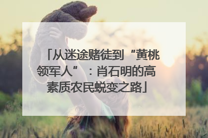 从迷途赌徒到“黄桃领军人”：肖石明的高素质农民蜕变之路