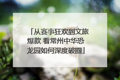 从赛事狂欢到文旅爆款 看常州中华恐龙园如何深度破圈