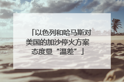 以色列和哈马斯对美国的加沙停火方案态度显“温差”