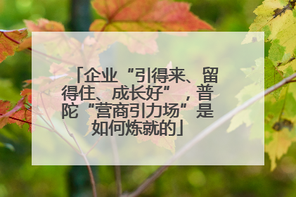 企业“引得来、留得住、成长好”，普陀“营商引力场”是如何炼就的