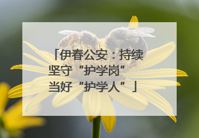 伊春公安：持续坚守“护学岗” 当好“护学人”