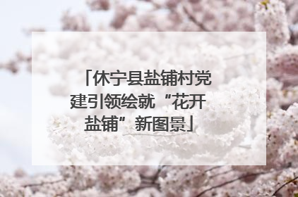 休宁县盐铺村党建引领绘就“花开盐铺”新图景