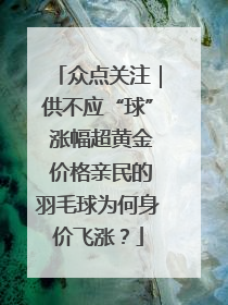 众点关注｜供不应“球” 涨幅超黄金 价格亲民的羽毛球为何身价飞涨？