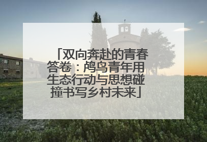 双向奔赴的青春答卷：鸬鸟青年用生态行动与思想碰撞书写乡村未来